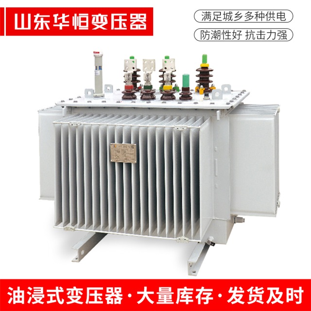 S13-10000/35双流双流双流电力变压器